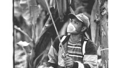 Bayer-Pestizide im philippinischen Bananen-Anbau