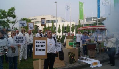 [Fotos2]