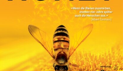 [More than Honey] Bienensterben