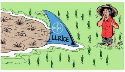 Liberty Link Reis