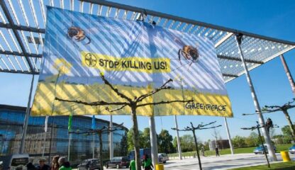 [Greenpeace] Bienensterben