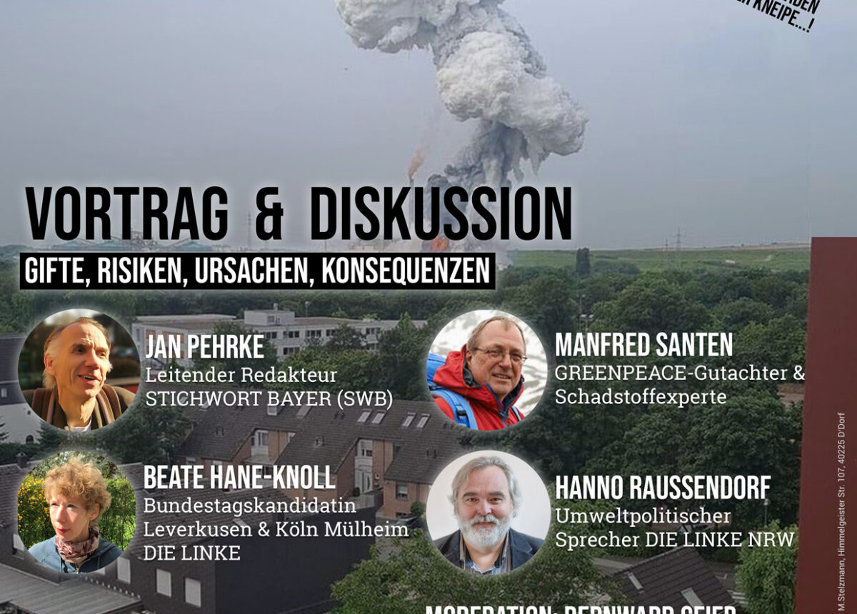 [Vortrag/Diskussion] Wie weiter nach der Explosion?
