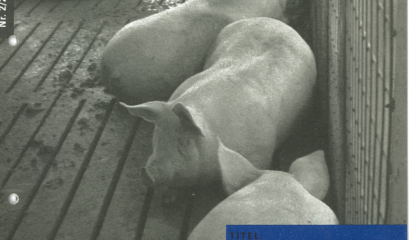 02/2012: Tatort Tierstall